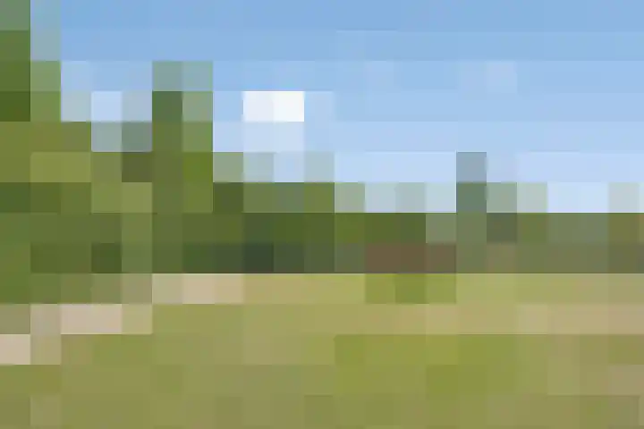 Barkentijn 100 Lemmer thumbnail 7