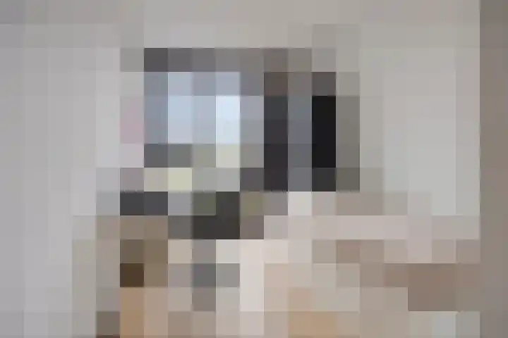 Barkentijn 20 Oosterhout thumbnail 21