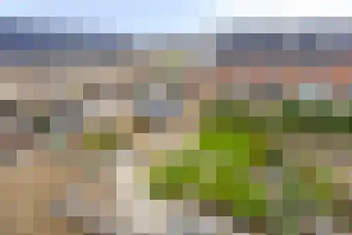 Barkentijn 20 Oosterhout thumbnail 38