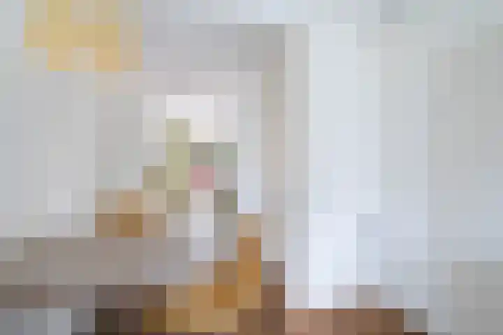 Barkentijn 8 Schiedam thumbnail 12