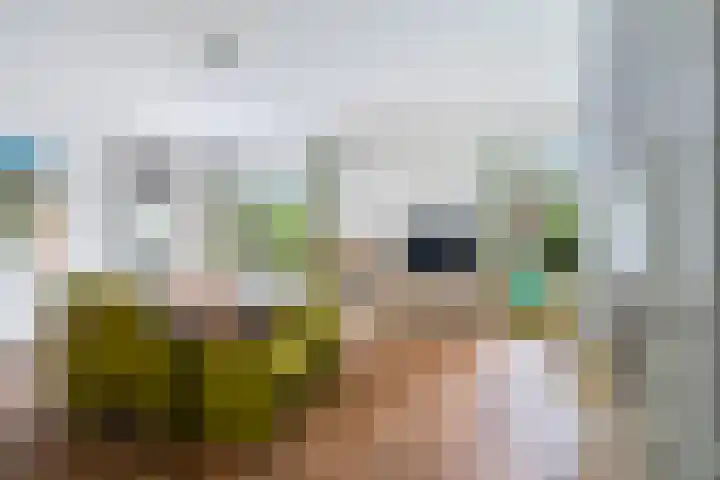 Barkentijn 8 Schiedam thumbnail 16