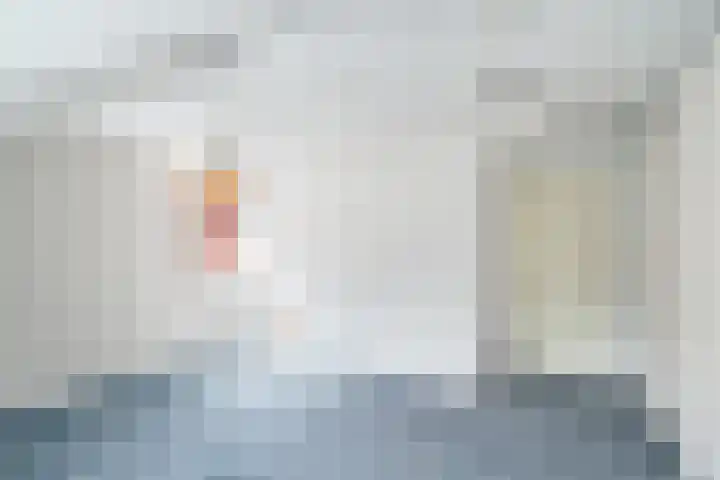 Barkentijn 8 Schiedam thumbnail 36