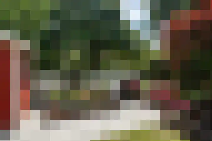 Barkentijn 8 Schiedam thumbnail 43