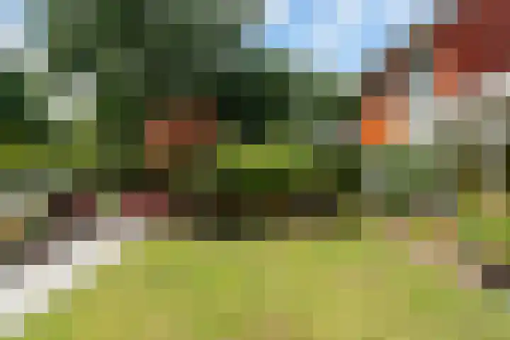Barkentijn 8 Schiedam thumbnail 44