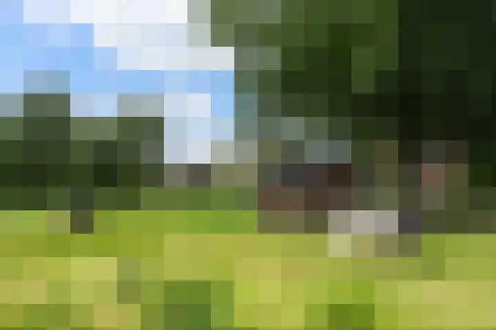 Barkentijn 8 Schiedam thumbnail 51