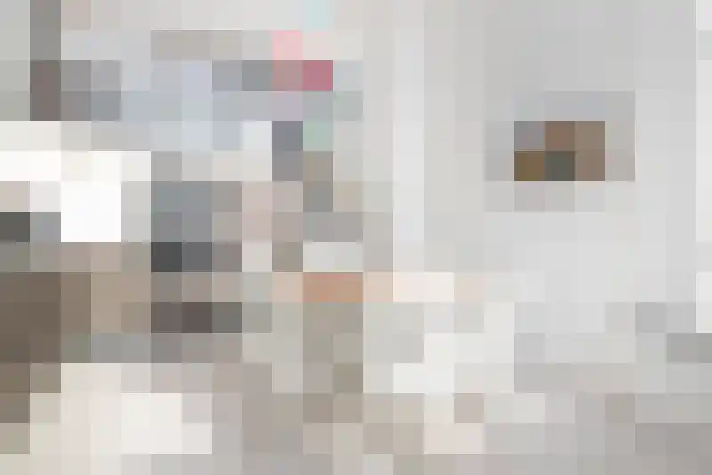 Barkentijnkade 113 Amsterdam thumbnail 8