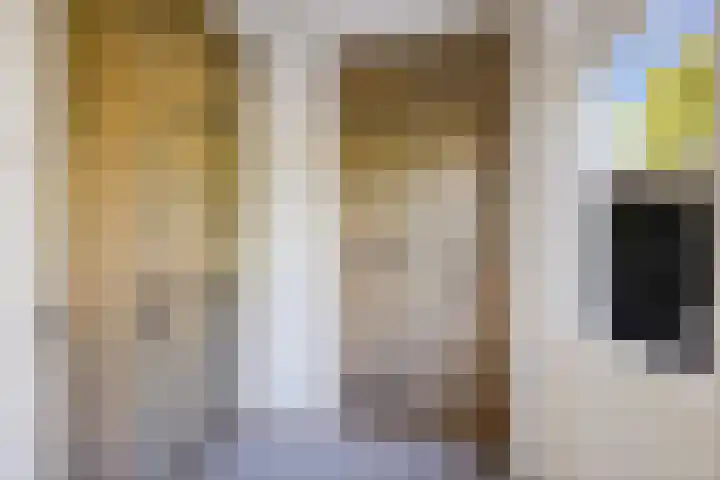 Barkhof 4 Harlingen thumbnail 11