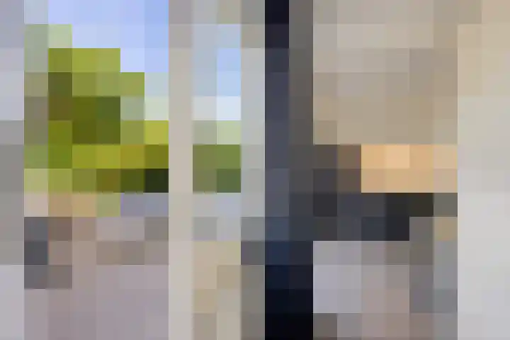 Barkhof 4 Harlingen thumbnail 12