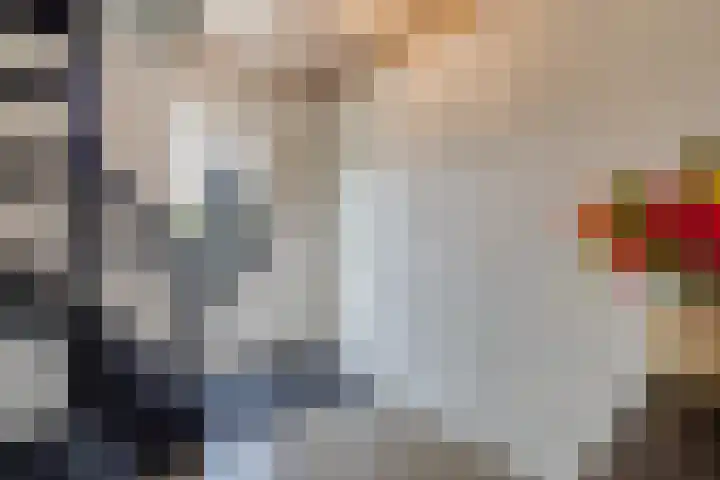 Barkhof 4 Harlingen thumbnail 13