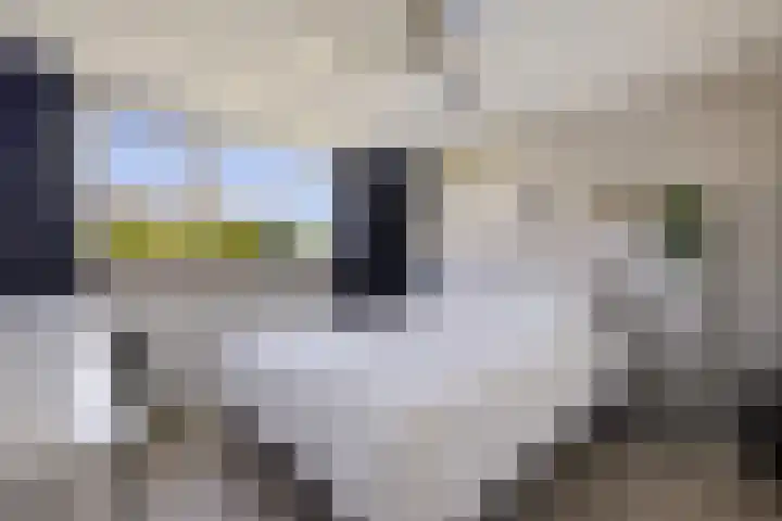 Barkhof 4 Harlingen thumbnail 16