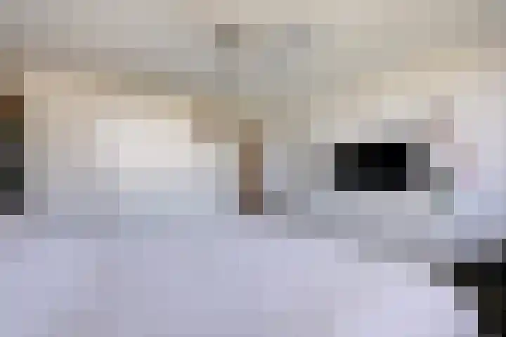 Barkhof 4 Harlingen thumbnail 17