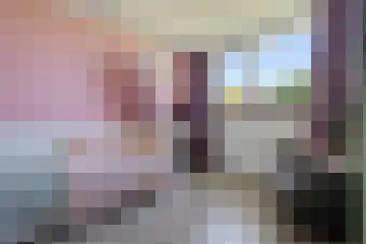 Barkhof 4 Harlingen thumbnail 18