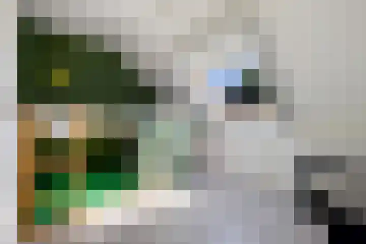 Barkhof 4 Harlingen thumbnail 20