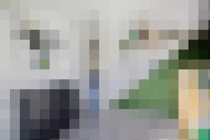 Barkhof 4 Harlingen thumbnail 21