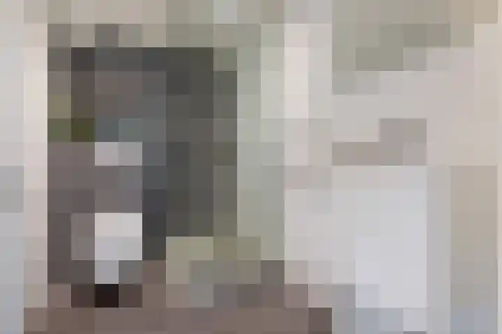 Barkhof 4 Harlingen thumbnail 25
