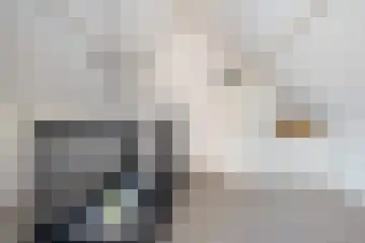 Barkhof 4 Harlingen thumbnail 28