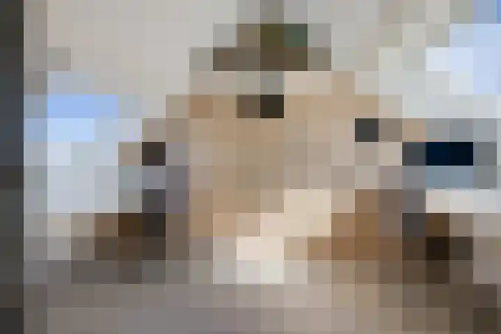 Barkhof 4 Harlingen thumbnail 30