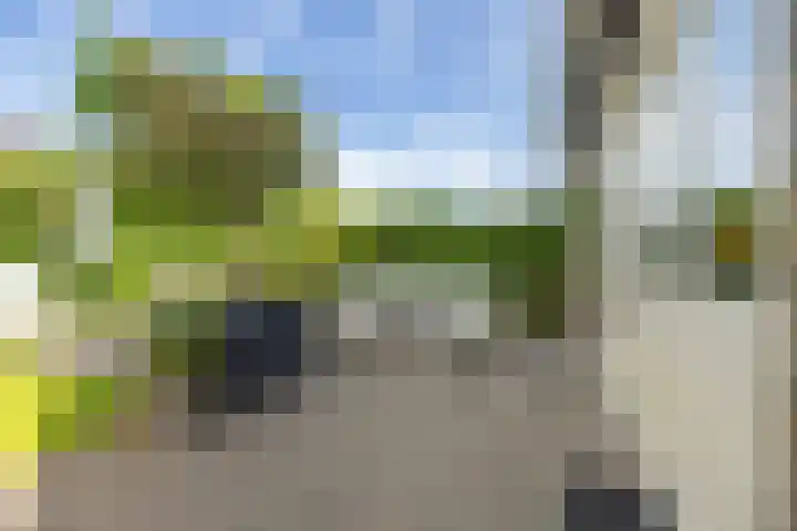 Barkhof 4 Harlingen thumbnail 33