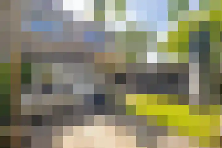 Barkhof 4 Harlingen thumbnail 36