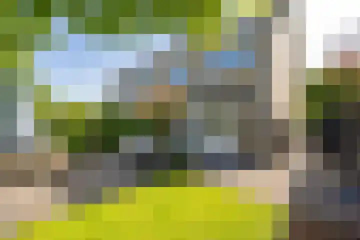 Barkhof 4 Harlingen thumbnail 37