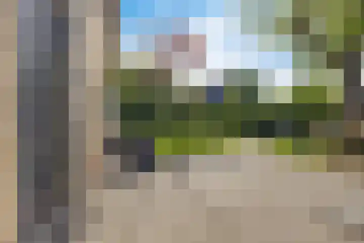 Barkhof 4 Harlingen thumbnail 39
