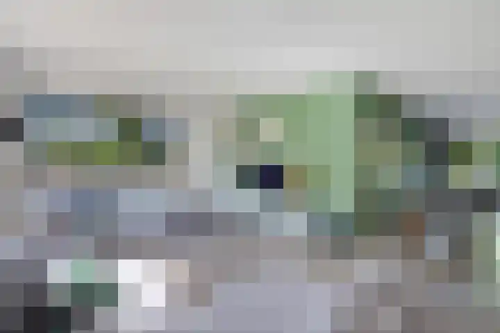 Barkhof 4 Harlingen thumbnail 4