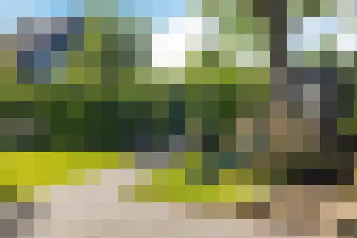 Barkhof 4 Harlingen thumbnail 40