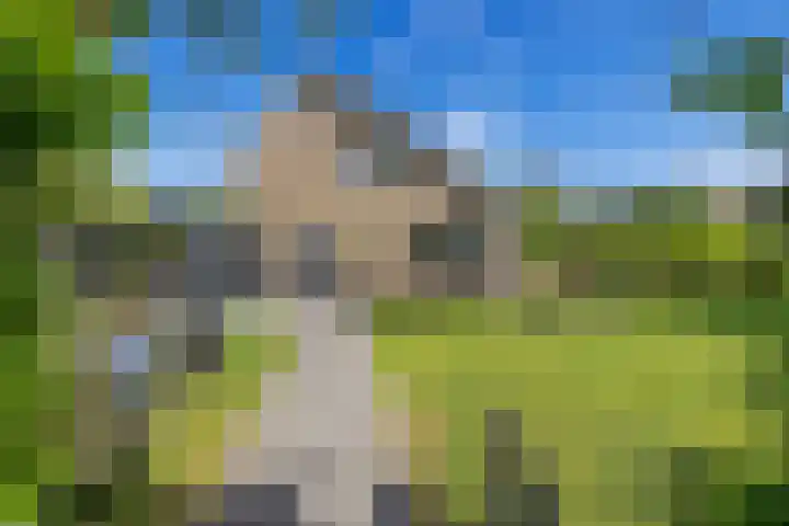 Barkhof 4 Harlingen thumbnail 41