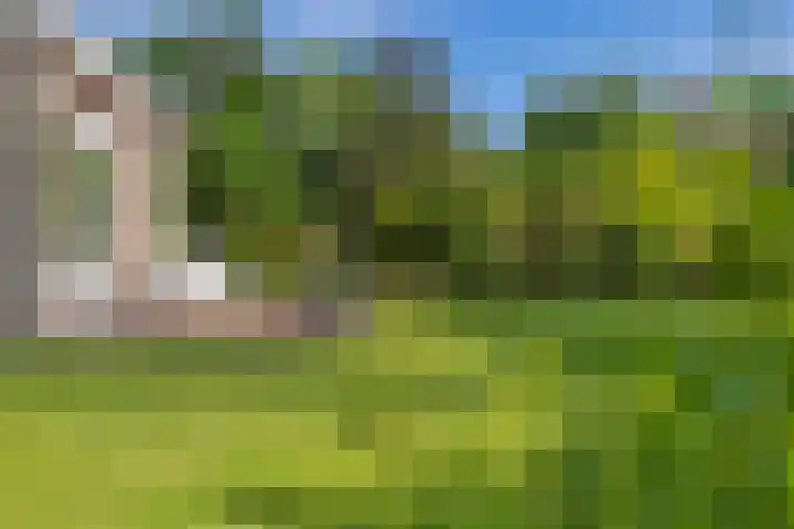 Barkhof 4 Harlingen thumbnail 42