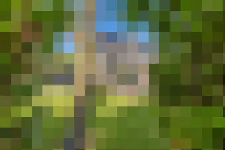 Barkhof 4 Harlingen thumbnail 44