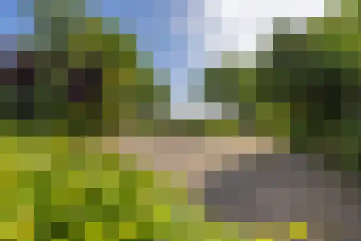 Barkhof 4 Harlingen thumbnail 46