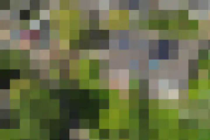 Barkhof 4 Harlingen thumbnail 47
