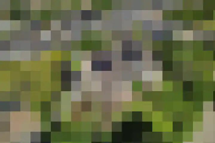 Barkhof 4 Harlingen thumbnail 48
