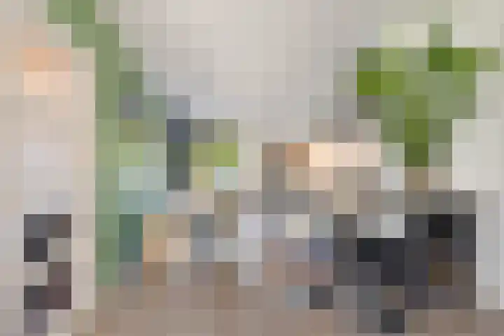 Barkhof 4 Harlingen thumbnail 5