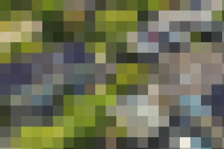 Barkhof 4 Harlingen thumbnail 50