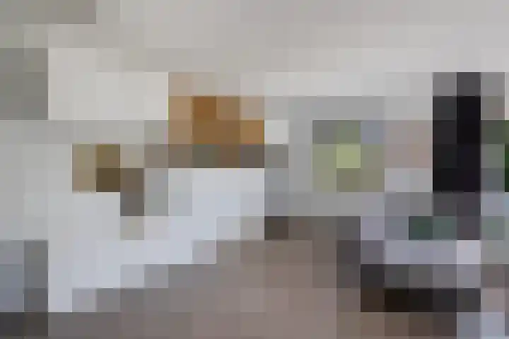 Barkhof 4 Harlingen thumbnail 6