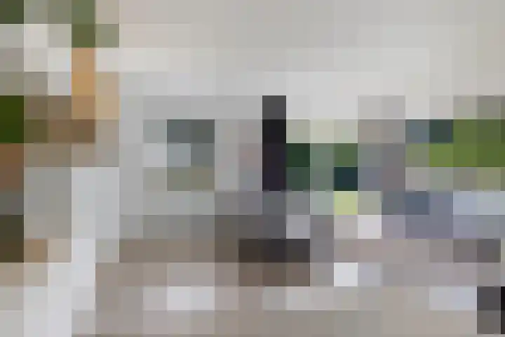Barkhof 4 Harlingen thumbnail 7
