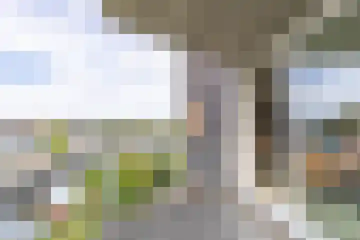 Barkmolenstraat 120 Groningen thumbnail 16