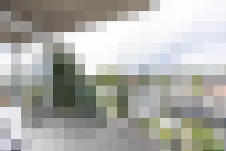 Barkmolenstraat 120 Groningen thumbnail 17