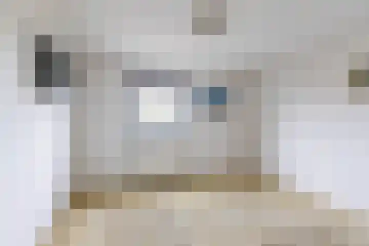 Barkmolenstraat 120 Groningen thumbnail 21