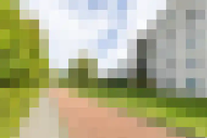 Barkmolenstraat 120 Groningen thumbnail 6