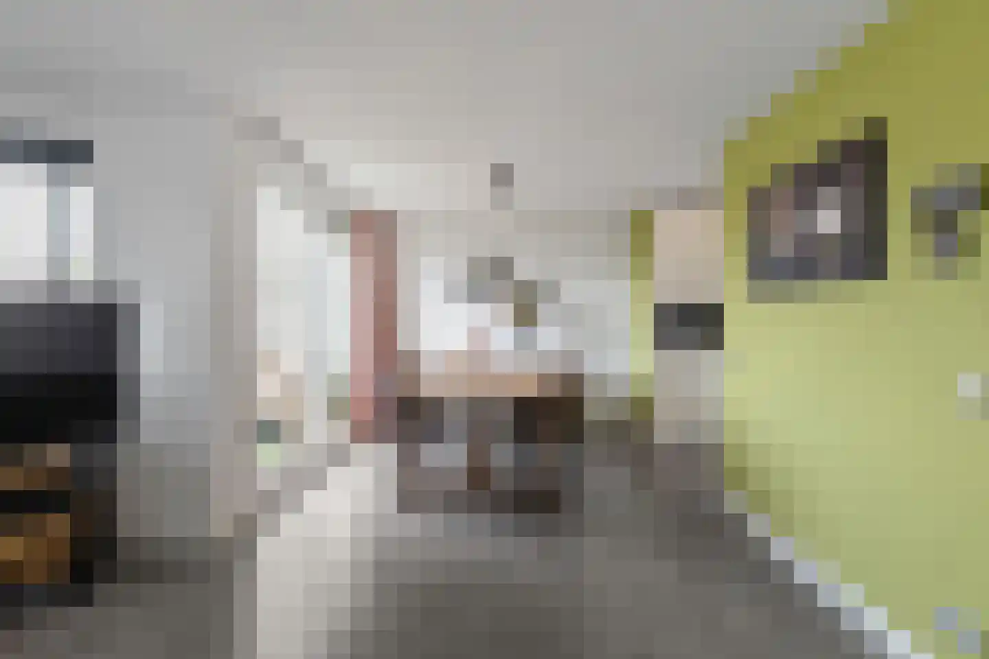 Barkmolenstraat 16 Groningen thumbnail 15
