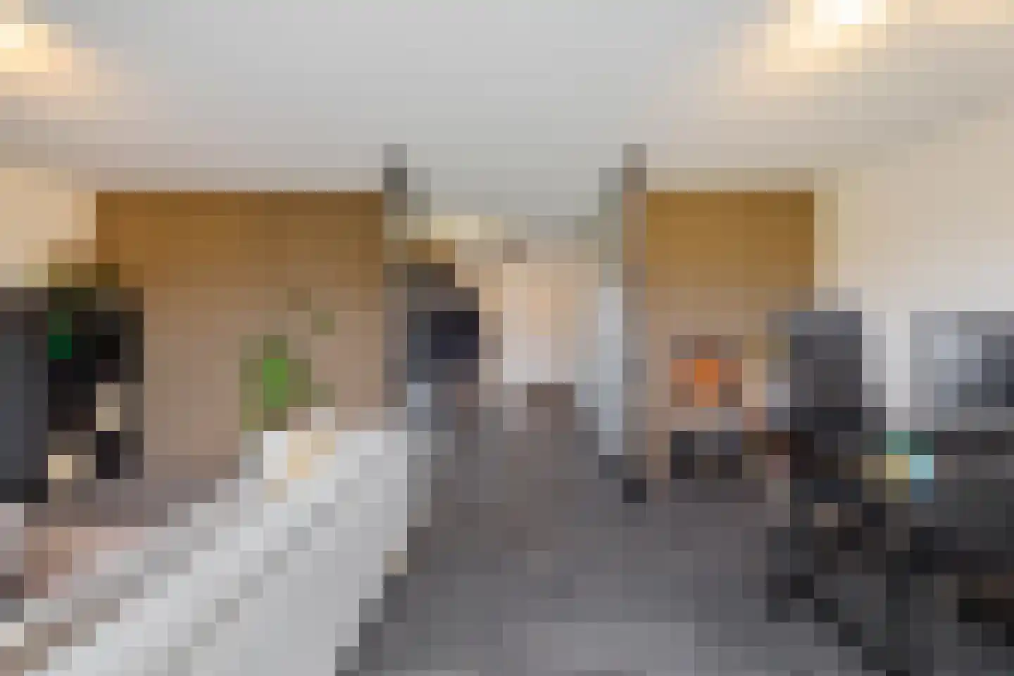 Barkmolenstraat 16 Groningen thumbnail 16
