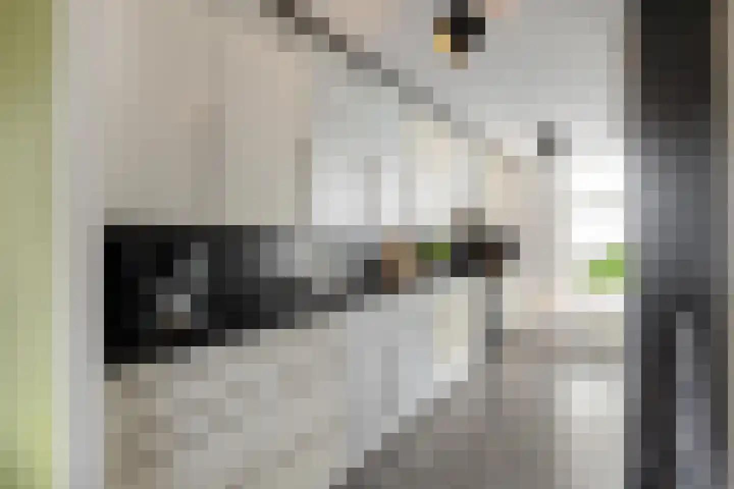 Barkmolenstraat 16 Groningen thumbnail 20