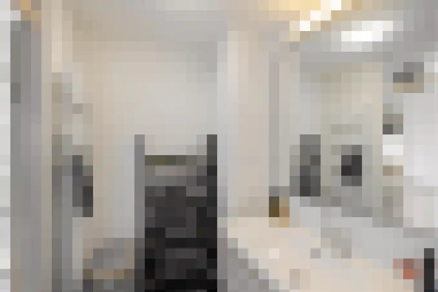 Barkmolenstraat 16 Groningen thumbnail 30