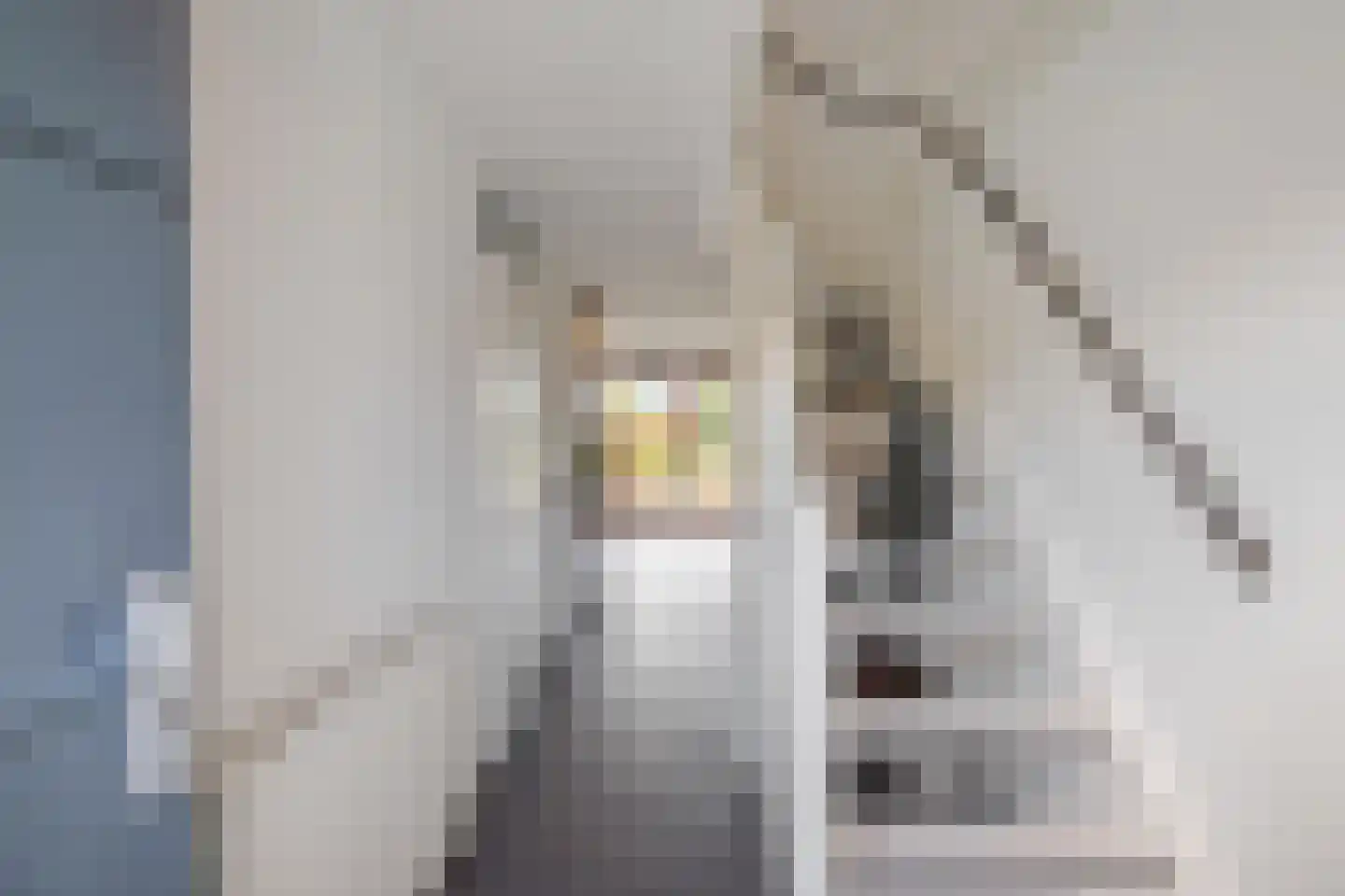 Barkmolenstraat 16 Groningen thumbnail 6