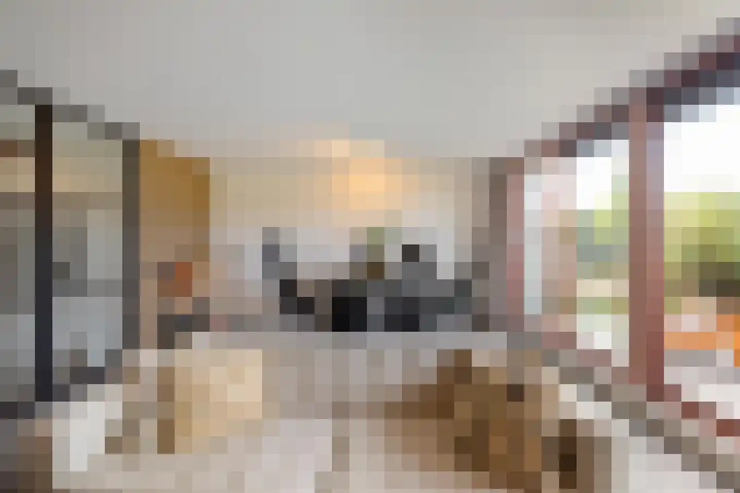 Barkmolenstraat 16 Groningen thumbnail 9