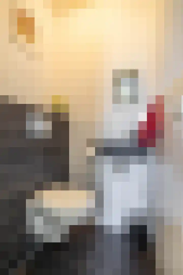 Barkmolenstraat 187 Groningen thumbnail 17
