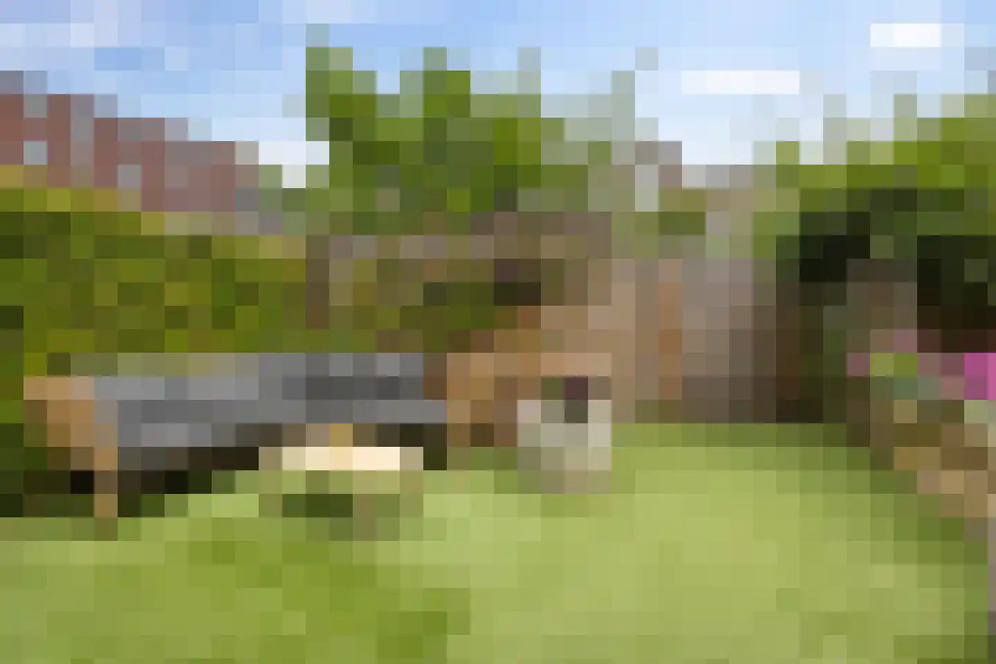 Barkmolenstraat 225 Groningen thumbnail 38