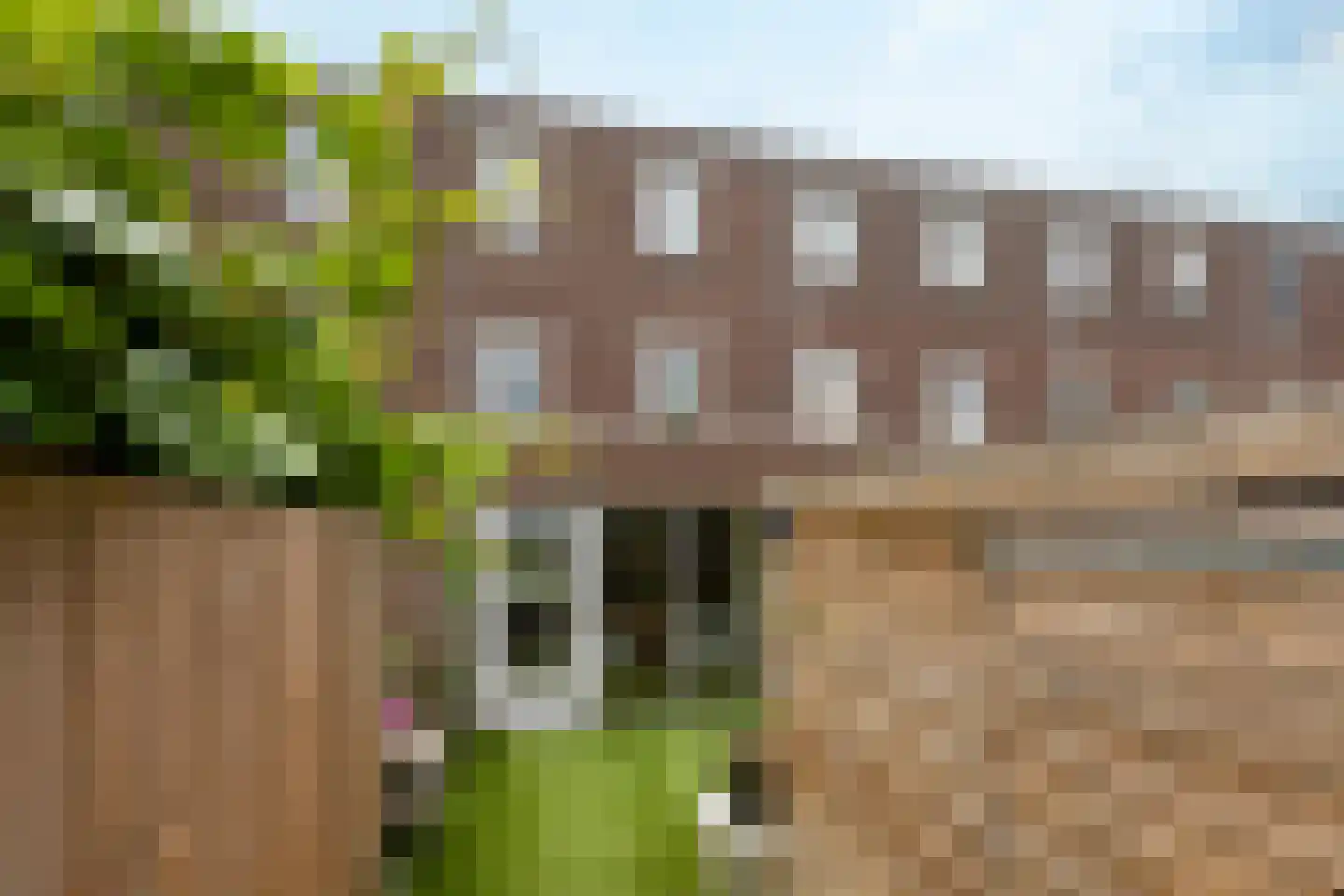 Barkmolenstraat 225 Groningen thumbnail 39
